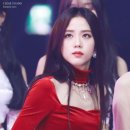 개이뻐 이미지