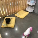 신아호텔 이미지