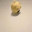 슈가코인노래연습장 공덕점 | 10월 4주차 分かるよ, 君も僕もちっぽけだから