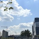 (주)엔엠시스템 | NMN 후기, 세포건강 챙기기 첫단계로!