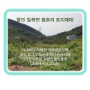 광개토대왕공인중개사사무소 이미지