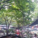 단군산장 이미지