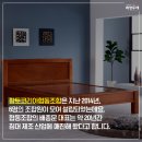 황토코리아협동조합 이미지