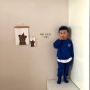 퍼드림