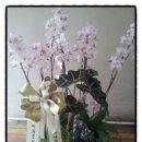 서경건설 이미지