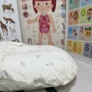 제이J엔젤 | 속역류하는 아기 역방쿠 사용 후기_제이엔제나 역방쿠, 엔젤엔비 역방쿠 장단점 정리(당근/내돈내산...