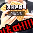 카페인중독거북섬점