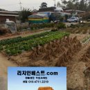 여주-0913 이미지