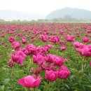 당신의 인생사진 이미지