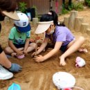 창원 편백치유의숲 유아숲체험원 이미지