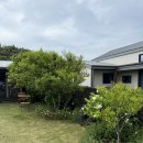 한동안제주 | 제주 아기랑 동쪽 구좌 독채 숙소 추천 너무너무너무 좋은 감성숙소 한동안 제주 내돈내산 후기