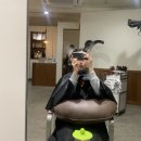 교교하다