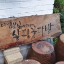척산족욕공원 | [속초] 척산족욕공원 족욕체험장 이용후기