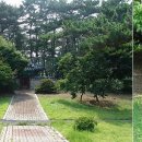 탈해왕릉 이미지