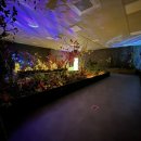 양주곤충박물관 이미지