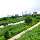 남지고가교 이미지