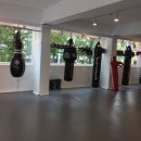 크리드 파이트 아카데미 이미지