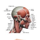원바디에스테틱
