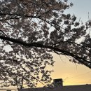 대흘보건진료소 이미지