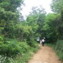 명품로 Daum카페