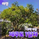 3박 4일 [제주도] 여행 // 1일차 비양도 한림공원 태광식당 가볼만한곳 후기