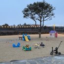 휴먼&카 | ② 둘째날 | 오설록 티뮤지엄·협재해수욕장·제주돗·휴먼스테이 숙소 후기 (일정이 가장 많았던 하루)