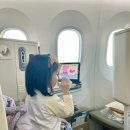 은서유치원 | 베트남항공 비지니스 부산-방콕 후기 (호치민,하노이경유)(+귀국편 6시간연착 항공편 변경후기)