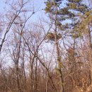 자연에 머물다 이미지