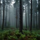 미숭산자연휴양림 이미지