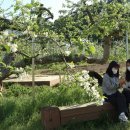 심복농장 이미지