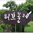 허브힐펜션 이미지