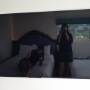 벙커호텔앤리조트 이미지