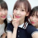 미야와키 사쿠라 카카오 검색결과