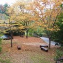 2025년 11월 8일 (토) 9:00 진주 망진산(178m) / 진주성 이미지