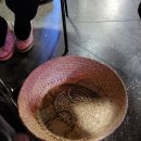 라스트춘선 안양 | [안양/범계역] 범계 라스트춘선 메뉴 추천 및 내돈내산 솔직후기