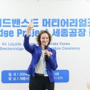 에어리퀴드어드밴스드머티어리얼즈코리아 주식회사