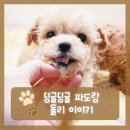 딩굴딩굴