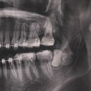 예은약국 | 길냥이의 집사가 될래요