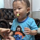 패밀리만두 이미지