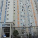 01-8 동구 이미지