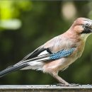 새로운지평 이미지