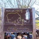 사색의길(백일헌종택) 이미지