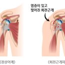 태림메디칼 - 동대문구 | 태림메디칼