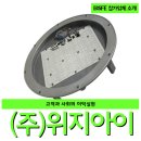 (주)위지아이