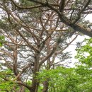 거창-가북-1 이미지