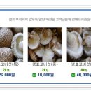 김영삼농장 이미지