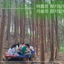 [2024. 9. 7] 제4차 군산우리숲탐험대 : 와우산 편백 치유의 숲 이미지