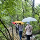 파로호 수달길, 오봉산 청평사, 신라의 빛을 간직한 춘천국립박물관(24.07.23) 이미지