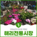 해리전통시장 이미지