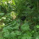 오봉농장 이미지